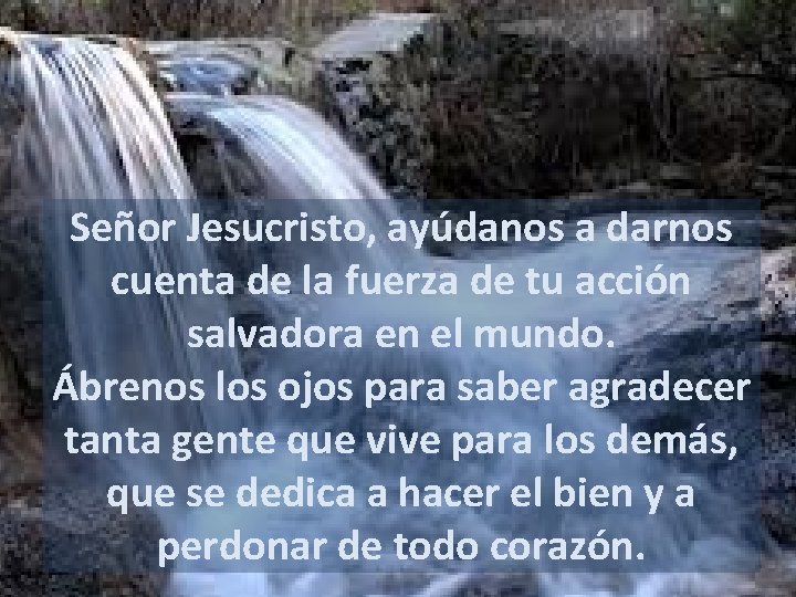 Señor Jesucristo, ayúdanos a darnos cuenta de la fuerza de tu acción salvadora en