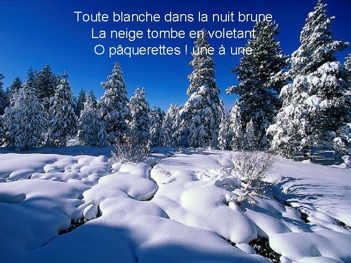 Toute blanche dans la nuit brune, La neige tombe en voletant, O pâquerettes !