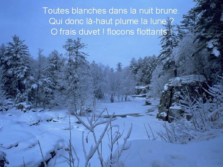 Toutes blanches dans la nuit brune. Qui donc là-haut plume la lune ? O