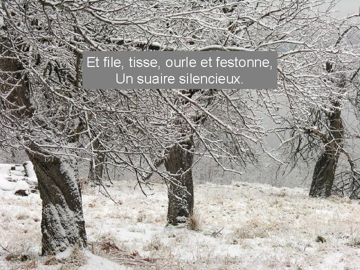 Et file, tisse, ourle et festonne, Un suaire silencieux. 