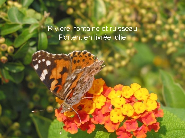 Rivière, fontaine et ruisseau Portent en livrée jolie 