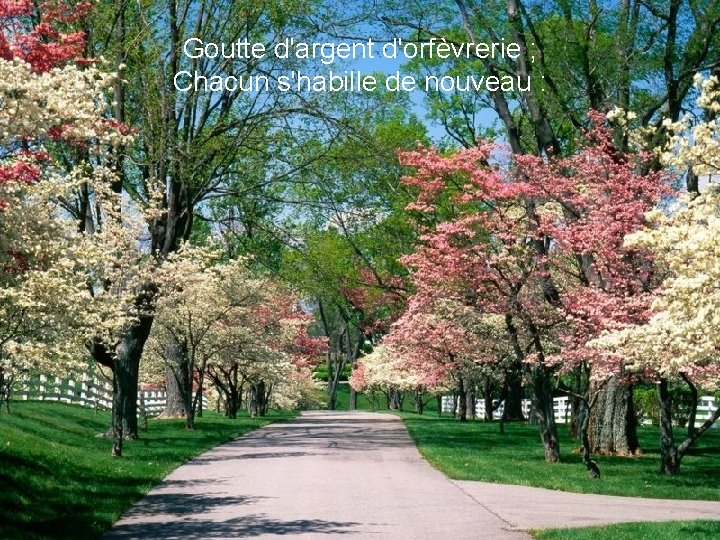 Goutte d'argent d'orfèvrerie ; Chacun s'habille de nouveau : 