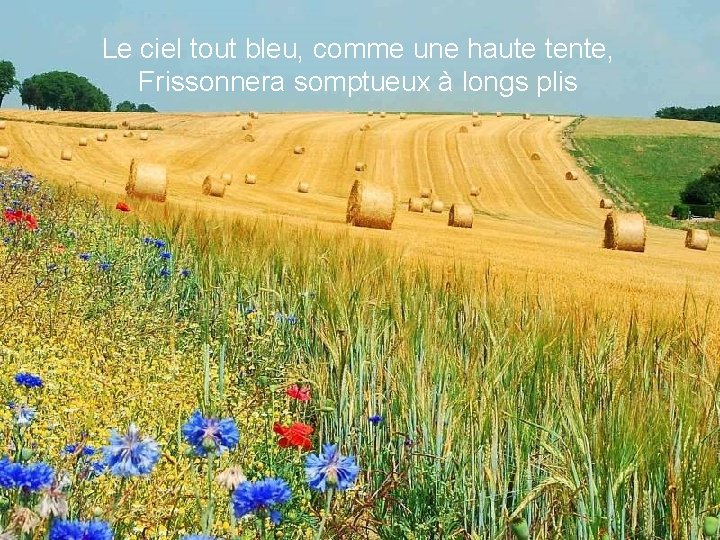 Le ciel tout bleu, comme une haute tente, Frissonnera somptueux à longs plis 