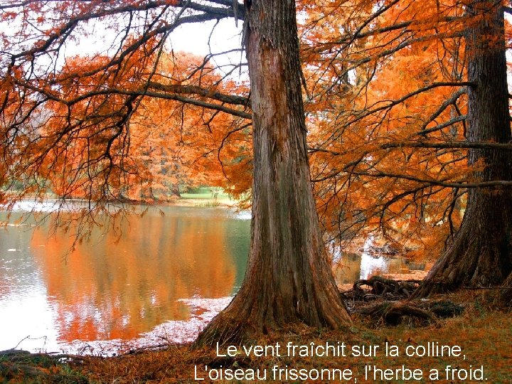 Le vent fraîchit sur la colline, L'oiseau frissonne, l'herbe a froid. 