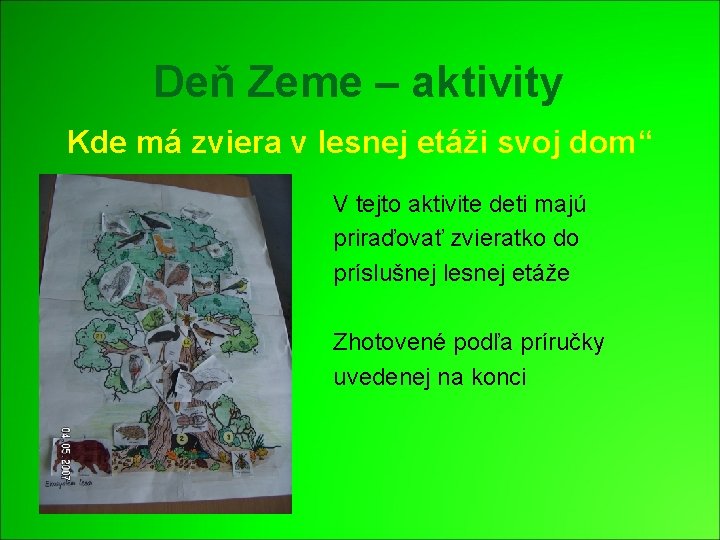 Deň Zeme – aktivity Kde má zviera v lesnej etáži svoj dom“ V tejto