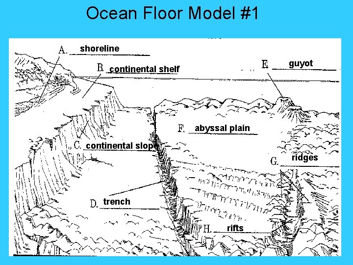 Ocean Floor Model #1 shoreline guyot continental shelf abyssal plain continental slope ridges trench