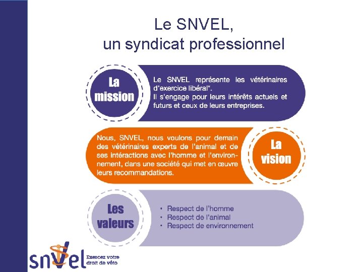 Le SNVEL, un syndicat professionnel 