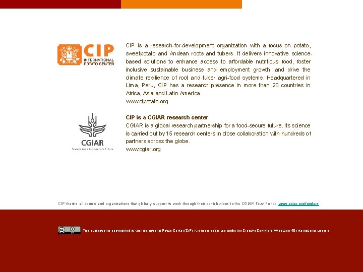 CIP is a research-for-development organization with a focus on potato, sweetpotato and Andean roots