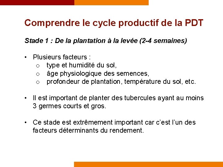 Comprendre le cycle productif de la PDT Stade 1 : De la plantation à