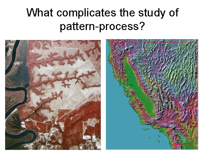What complicates the study of pattern-process? 