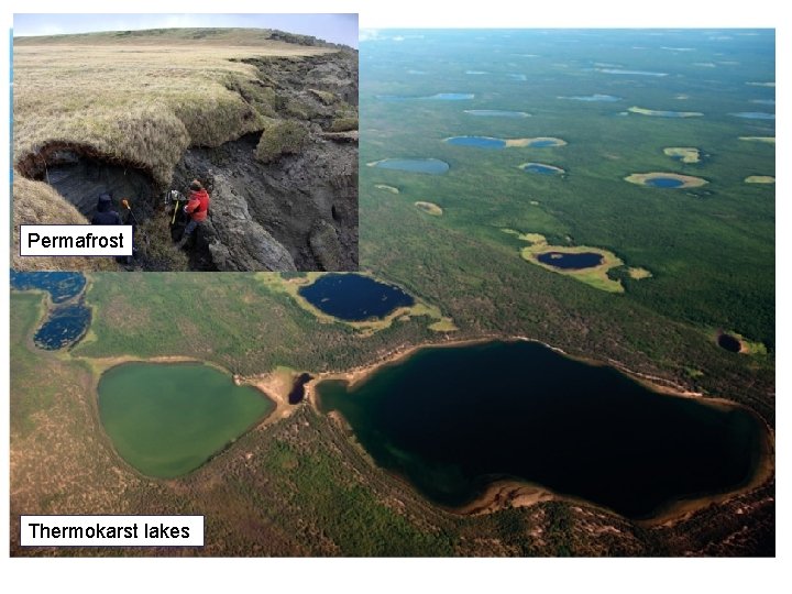 Permafrost Thermokarst lakes 
