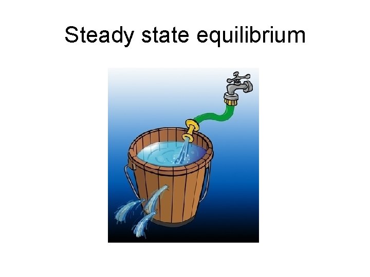 Steady state equilibrium 