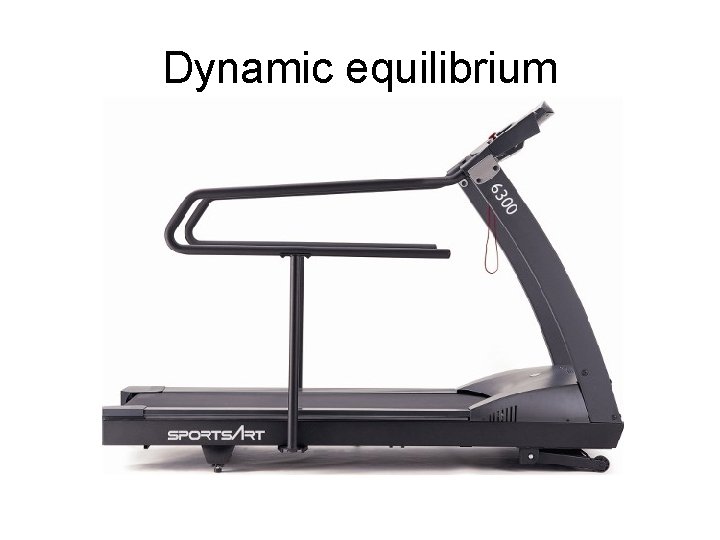 Dynamic equilibrium 