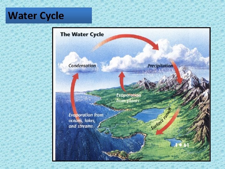 Water Cycle 