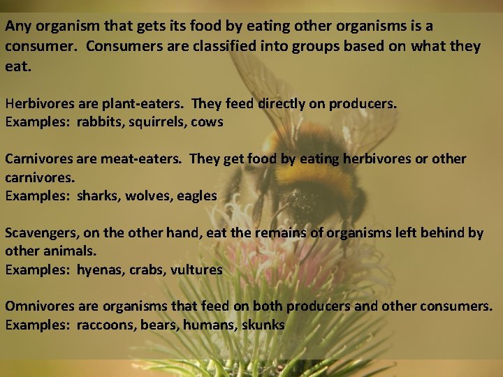 Any organism that gets its food by eating other organisms is a consumer. Consumers