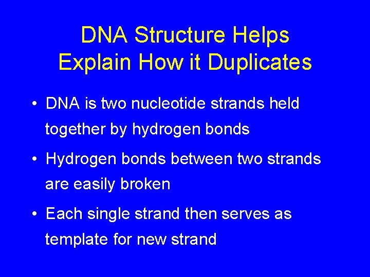 DNA Structure Helps Explain How it Duplicates • DNA is two nucleotide strands held