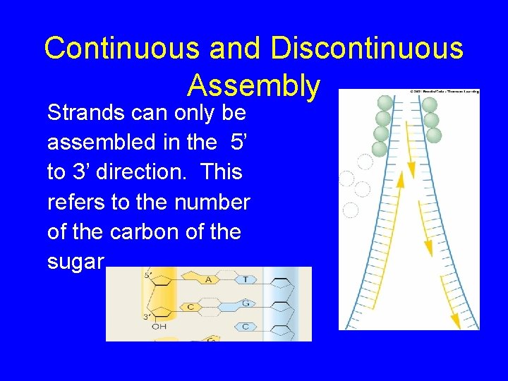 Continuous and Discontinuous Assembly Strands can only be assembled in the 5’ to 3’