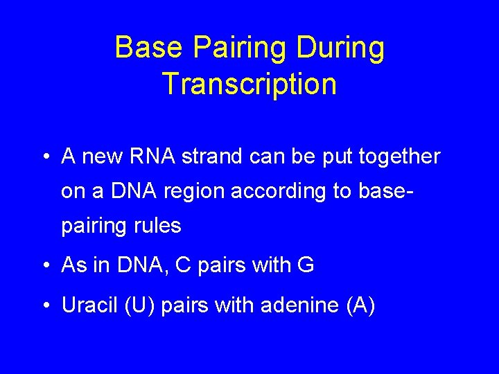 Base Pairing During Transcription • A new RNA strand can be put together on
