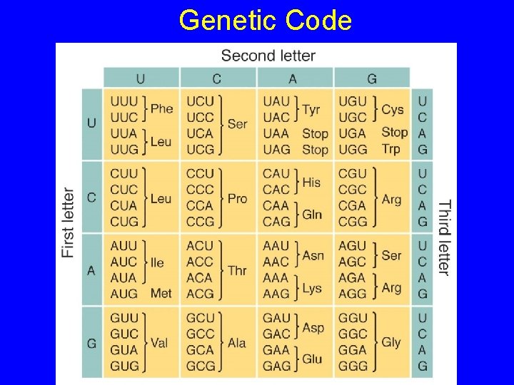 Genetic Code 