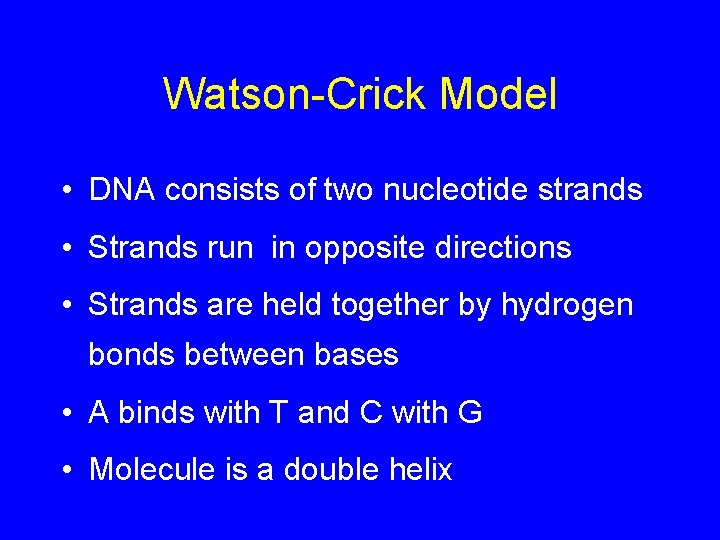 Watson-Crick Model • DNA consists of two nucleotide strands • Strands run in opposite