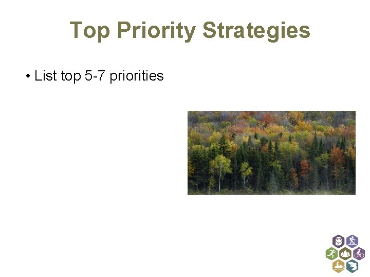 Top Priority Strategies • List top 5 -7 priorities 