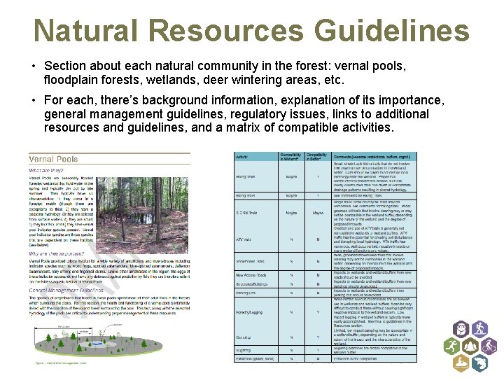 Natural Resources Guidelines • Section about each natural community in the forest: vernal pools,