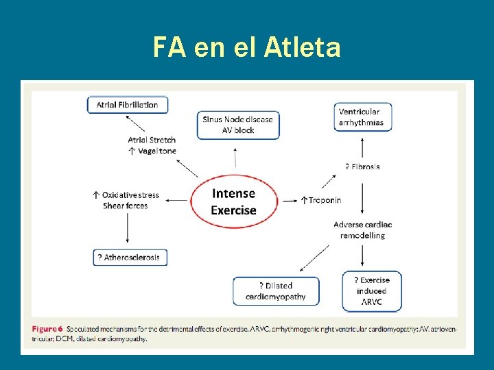 FA en el Atleta 