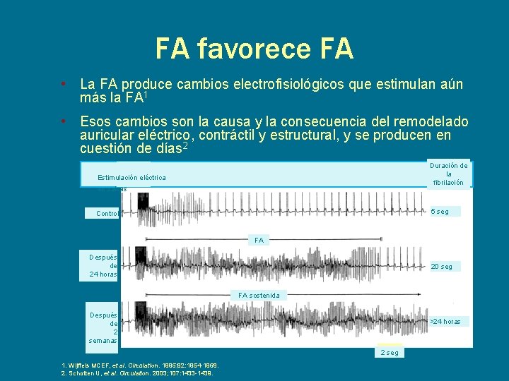 FA favorece FA • La FA produce cambios electrofisiológicos que estimulan aún más la