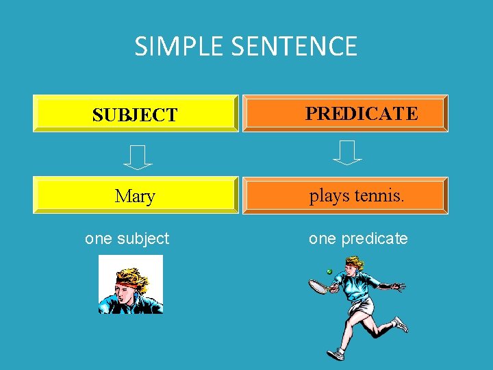 SIMPLE SENTENCE SUBJECT PREDICATE Mary plays tennis. one subject one predicate 