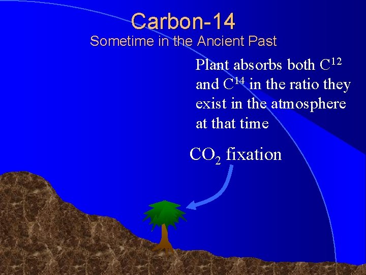Carbon-14 Sometime in the Ancient Past Plant absorbs both C 12 and C 14 Carbon-14 Sometime in the Ancient Past Plant absorbs both C 12 and C 14
