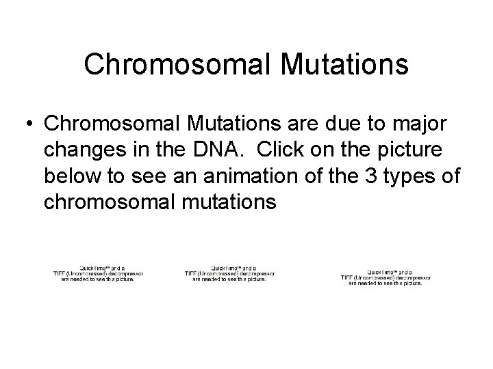 Chromosomal Mutations • Chromosomal Mutations are due to major changes in the DNA. Click