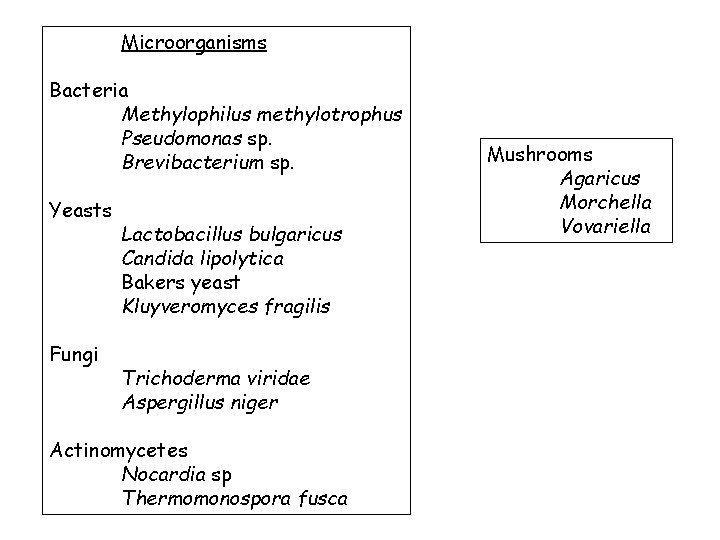 Microorganisms Bacteria Methylophilus methylotrophus Pseudomonas sp. Brevibacterium sp. Yeasts Fungi Lactobacillus bulgaricus Candida lipolytica