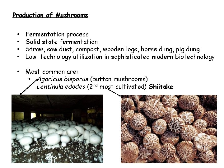 Production of Mushrooms • • Fermentation process Solid state fermentation Straw, saw dust, compost,