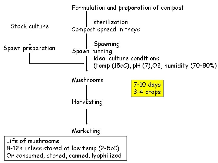 Formulation and preparation of compost Stock culture Spawn preparation sterilization Compost spread in trays