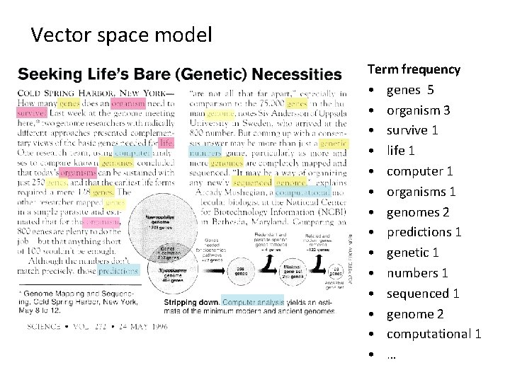 Vector space model Term frequency • genes 5 • organism 3 • survive 1