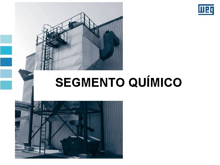 SEGMENTO QUÍMICO 