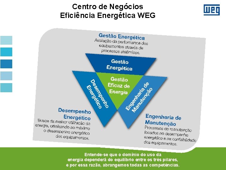 Centro de Negócios Eficiência Energética WEG Entende-se que o domínio do uso da energia