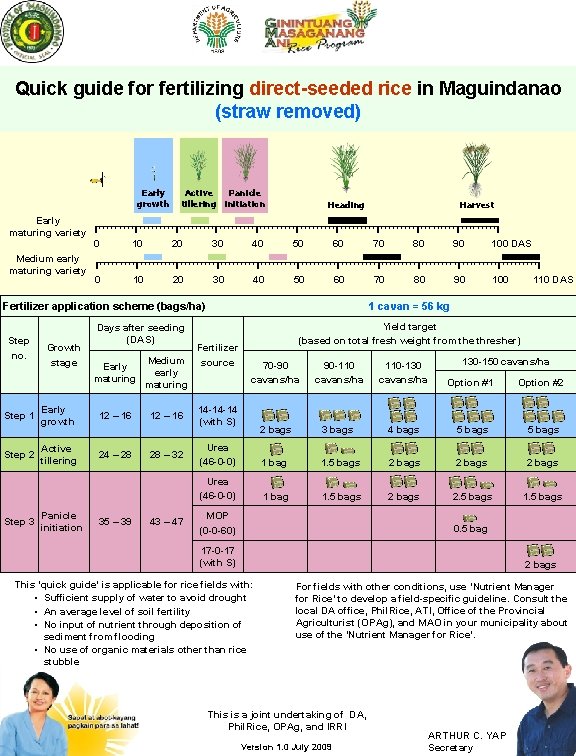 Quick guide for fertilizing direct-seeded rice in Maguindanao (straw removed) Early growth Early maturing Quick guide for fertilizing direct-seeded rice in Maguindanao (straw removed) Early growth Early maturing