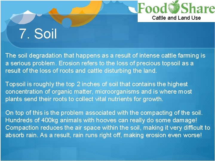 Cattle and Land Use 7. Soil The soil degradation that happens as a result