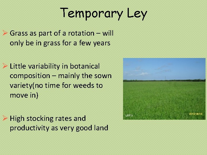 Temporary Ley Grass as part of a rotation – will only be in grass