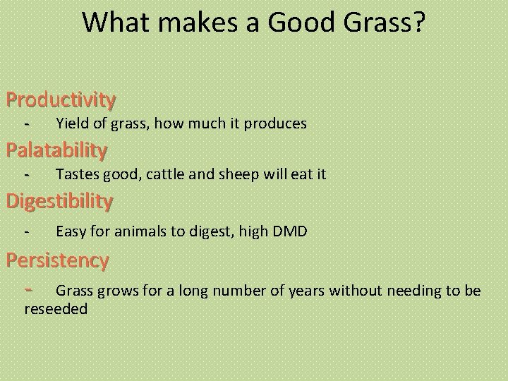 What makes a Good Grass? Productivity - Yield of grass, how much it produces