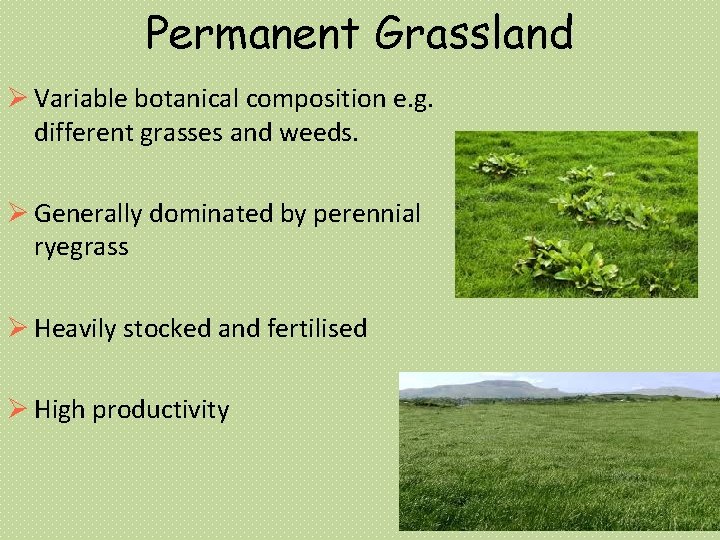 Permanent Grassland Variable botanical composition e. g. different grasses and weeds. Generally dominated by