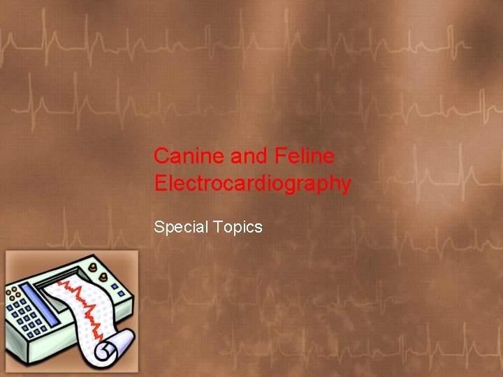 Canine and Feline Electrocardiography Special Topics 