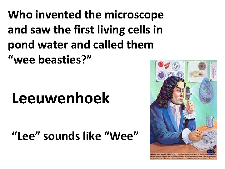 Who invented the microscope and saw the first living cells in pond water and