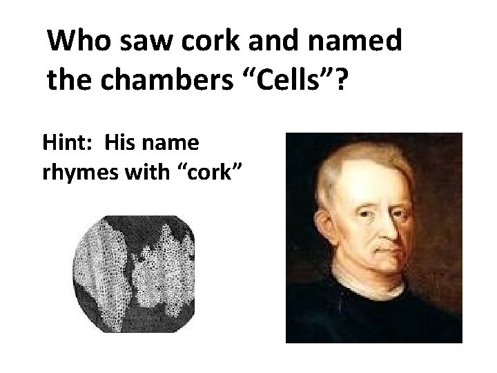 Who saw cork and named the chambers “Cells”? Hint: His name rhymes with “cork”