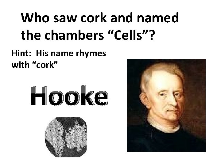 Who saw cork and named the chambers “Cells”? Hint: His name rhymes with “cork”