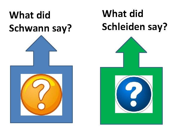 What did Schwann say? What did Schleiden say? 
