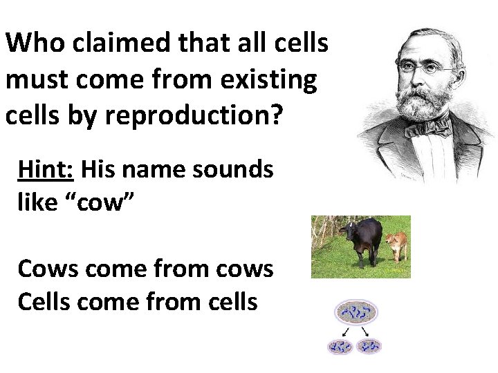 Who claimed that all cells must come from existing cells by reproduction? Hint: His