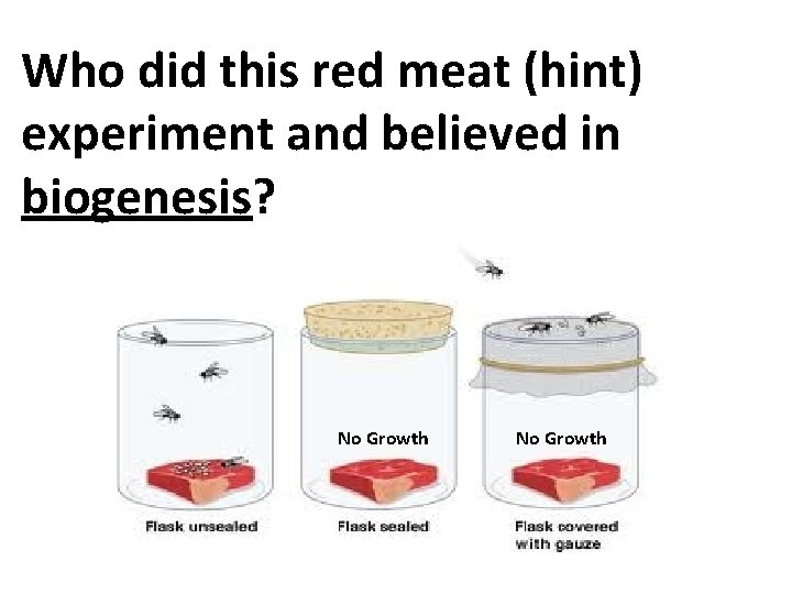 Who did this red meat (hint) experiment and believed in biogenesis? No Growth 