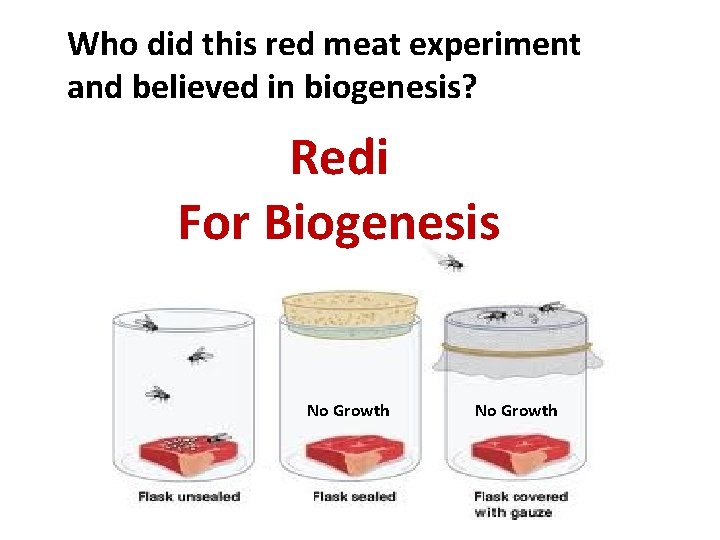 Who did this red meat experiment and believed in biogenesis? Redi For Biogenesis No